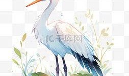 白鹭动漫在线观看,在线观看，畅享青春奇幻之旅